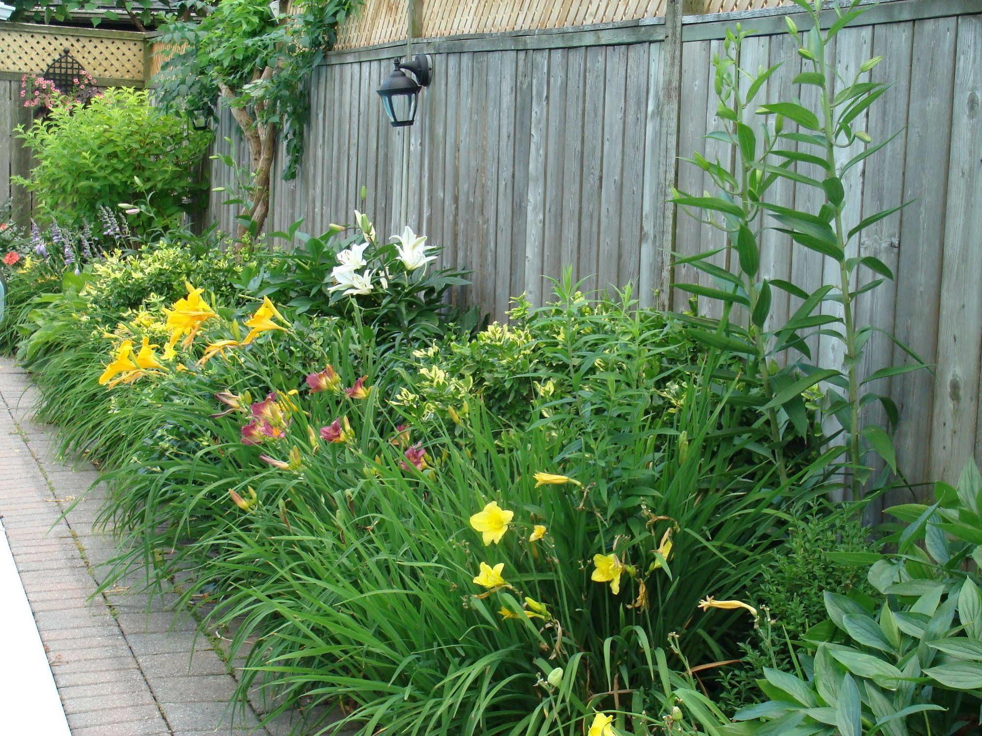 Robinsong Bed and Breakfast Thorold Buitenkant foto